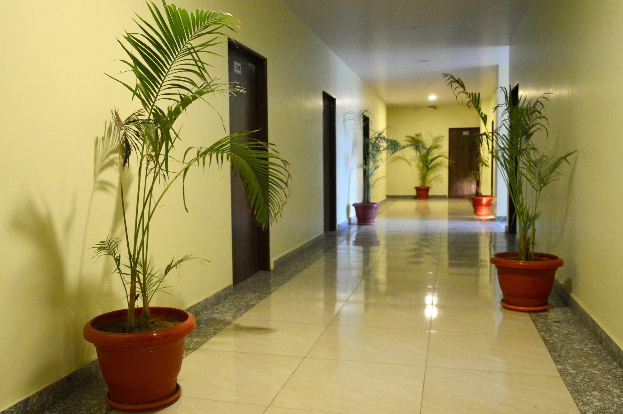 Oyo 6697 Hotel Green Lemon Jaipur Exteriör bild